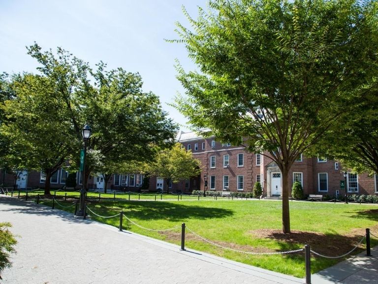 campus quadrangle with green trees above walkway